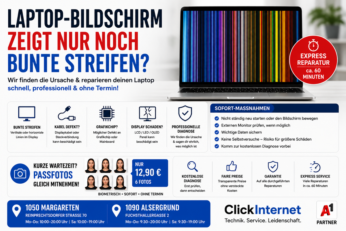 Laptop-Bildschirm zeigt nur noch bunte Streifen in 1230 Liesing