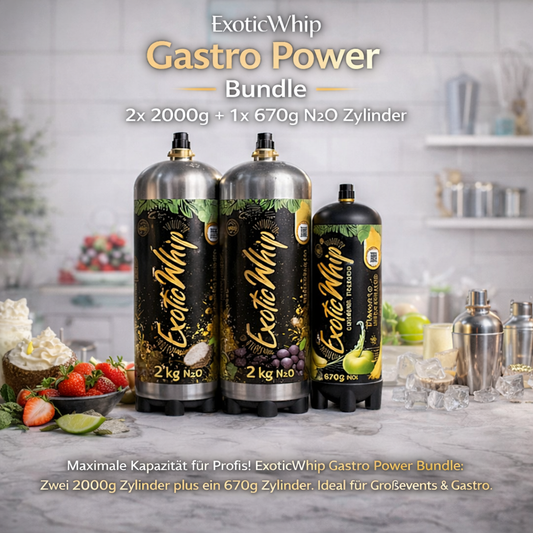 ExoticWhip "Gastro Power" Bundle – 2x 2000g + 1x 670g N2O Zylinder