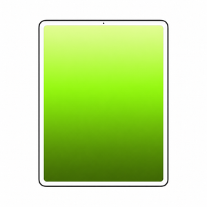 iPad Mini 5 (2019)