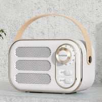 DW13 Tragbarer HiFi-Mini-Retro-Bluetooth-Lautsprecher