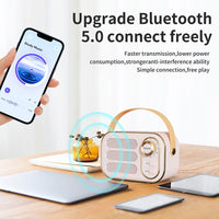 DW13 Tragbarer HiFi-Mini-Retro-Bluetooth-Lautsprecher