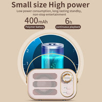 DW13 Tragbarer HiFi-Mini-Retro-Bluetooth-Lautsprecher