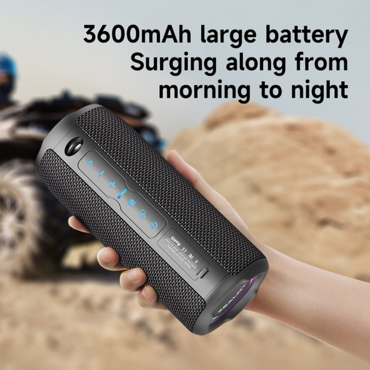 Zealot S49 Pro 20W tragbarer kabelloser Bluetooth-Außenlautsprecher mit RGB-Licht, S49 Pro