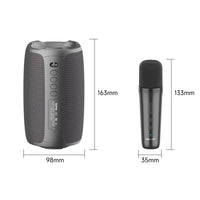 Zealot S61M RGB Rhythmisches Licht – Kabelloser Karaoke-Lautsprecher, Single Mic, Dual Mic