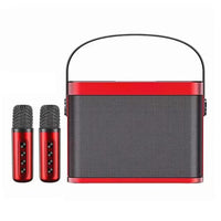YS-219 Mini Tragbarer Karaoke-Lautsprecher mit kabelloser Bluetooth-Verbindung und 2 Mikrofonen