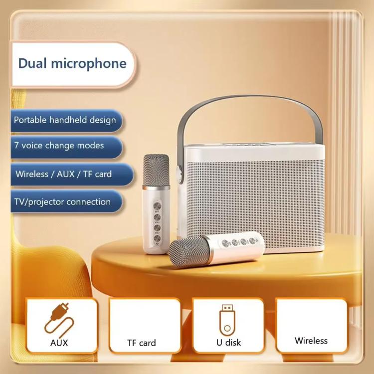 YS-219 Mini Tragbarer Karaoke-Lautsprecher mit kabelloser Bluetooth-Verbindung und 2 Mikrofonen
