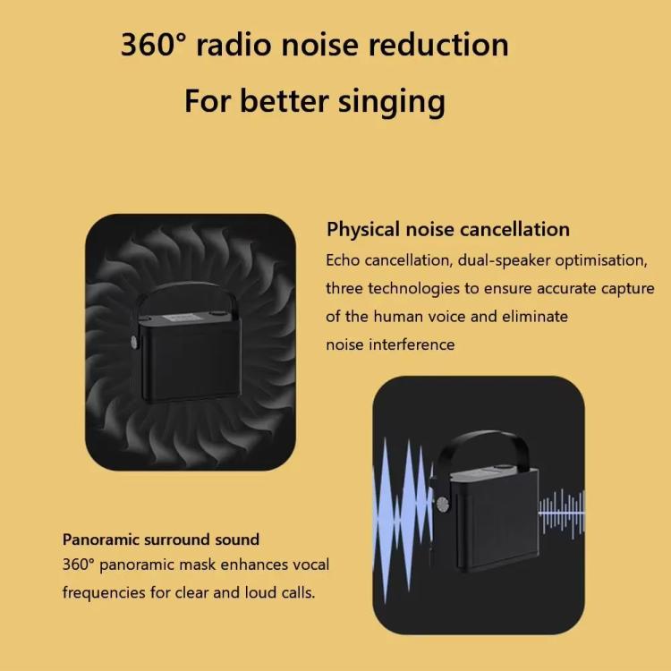 YS-219 Mini Tragbarer Karaoke-Lautsprecher mit kabelloser Bluetooth-Verbindung und 2 Mikrofonen