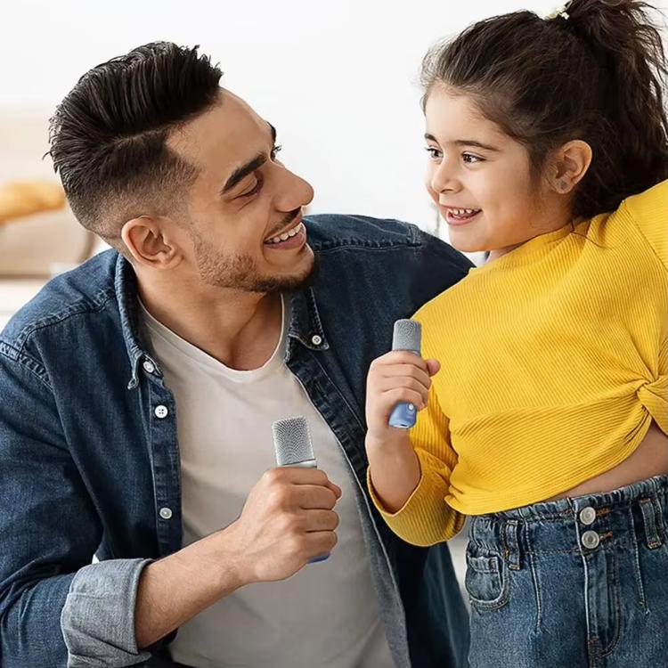 YS-219 Mini Tragbarer Karaoke-Lautsprecher mit kabelloser Bluetooth-Verbindung und 2 Mikrofonen