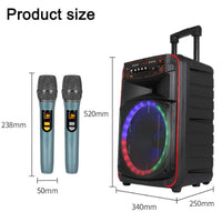 N-625 Outdoor-Karaoke-Lautsprecher mit 12-Zoll-Woofer, RGB-Beleuchtung, tragbarer Trolley-Funktion, Bluetooth und zwei drahtlosen Mikrofonen, US Plug, EU Plug, UK Plug