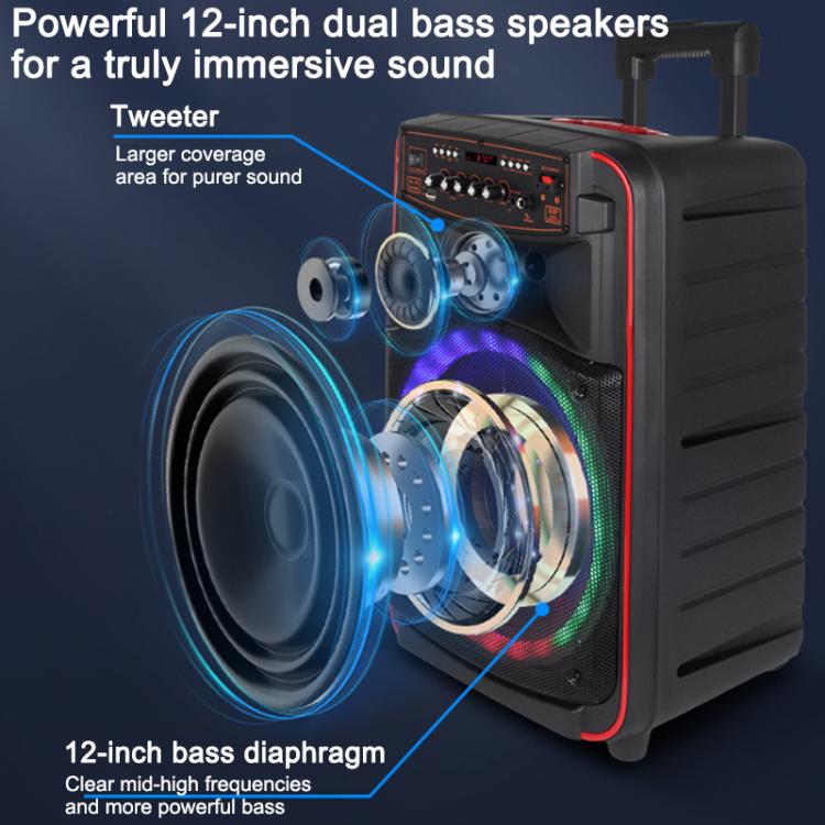 N-625 Outdoor-Karaoke-Lautsprecher mit 12-Zoll-Woofer, RGB-Beleuchtung, tragbarer Trolley-Funktion, Bluetooth und zwei drahtlosen Mikrofonen, US Plug, EU Plug, UK Plug