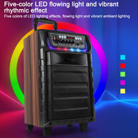 N-810 Outdoor-Karaoke-Lautsprecher mit 8-Zoll-Woofer, RGB-Beleuchtung, Bluetooth-Funktion und zwei drahtlosen Mikrofonen, US Plug, EU Plug, UK Plug
