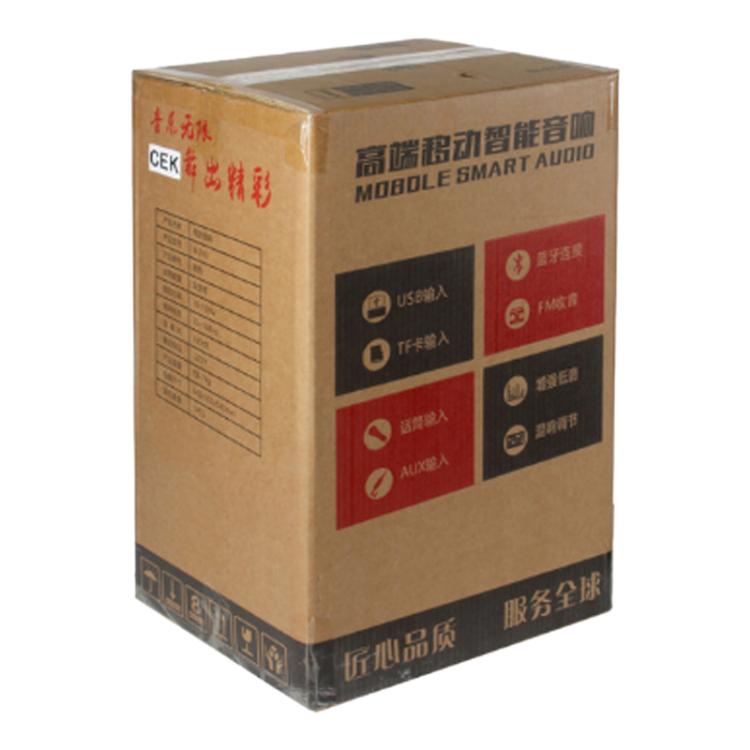 N-810 Outdoor-Karaoke-Lautsprecher mit 8-Zoll-Woofer, RGB-Beleuchtung, Bluetooth-Funktion und zwei drahtlosen Mikrofonen, US Plug, EU Plug, UK Plug
