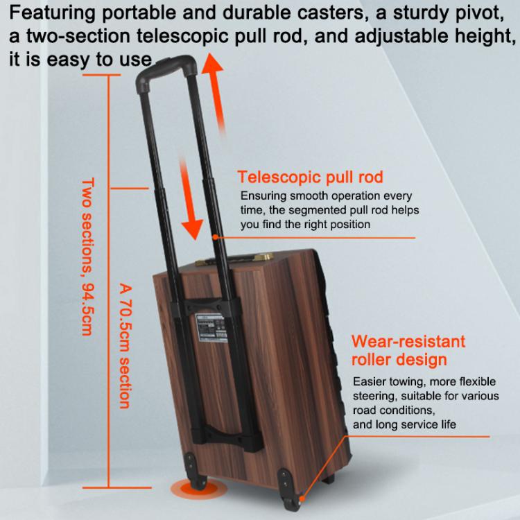 N-810 Outdoor-Karaoke-Lautsprecher mit 8-Zoll-Woofer, RGB-Beleuchtung, Bluetooth-Funktion und zwei drahtlosen Mikrofonen, US Plug, EU Plug, UK Plug