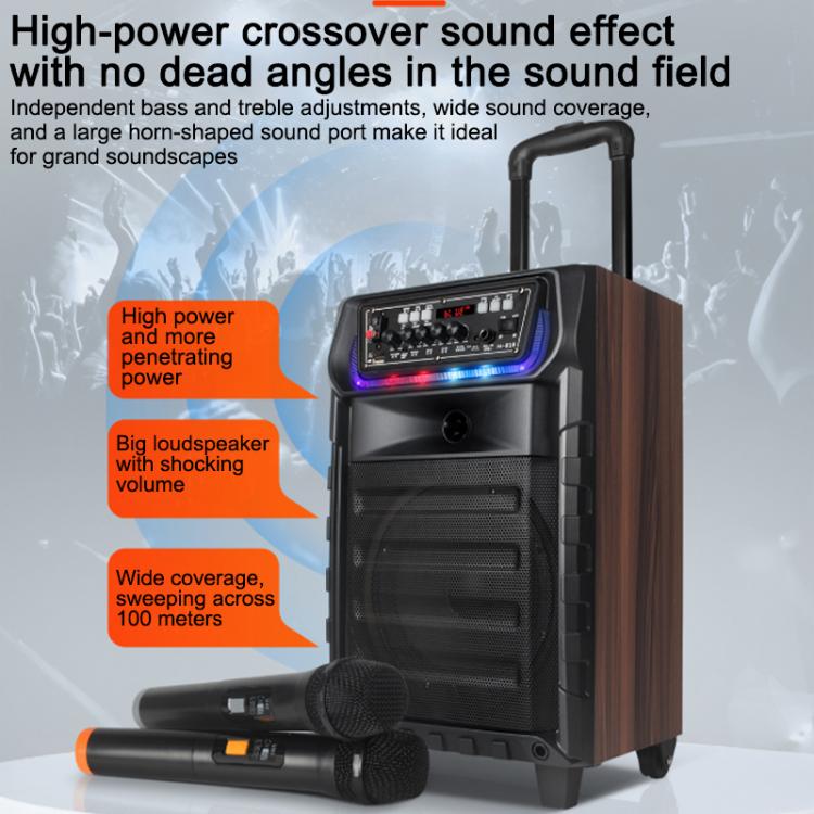 N-810 Outdoor-Karaoke-Lautsprecher mit 8-Zoll-Woofer, RGB-Beleuchtung, Bluetooth-Funktion und zwei drahtlosen Mikrofonen, US Plug, EU Plug, UK Plug