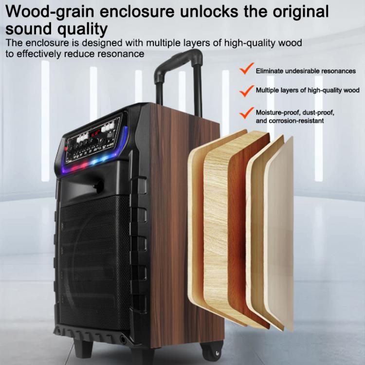 N-810 Outdoor-Karaoke-Lautsprecher mit 8-Zoll-Woofer, RGB-Beleuchtung, Bluetooth-Funktion und zwei drahtlosen Mikrofonen, US Plug, EU Plug, UK Plug
