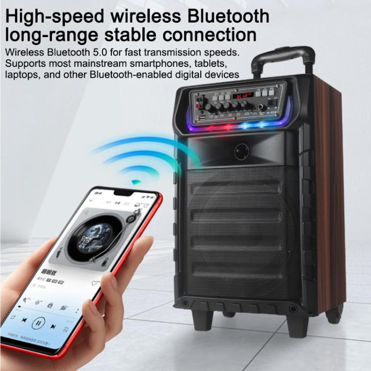 N-810 Outdoor-Karaoke-Lautsprecher mit 8-Zoll-Woofer, RGB-Beleuchtung, Bluetooth-Funktion und zwei drahtlosen Mikrofonen, US Plug, EU Plug, UK Plug