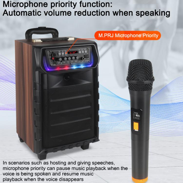 N-810 Outdoor-Karaoke-Lautsprecher mit 8-Zoll-Woofer, RGB-Beleuchtung, Bluetooth-Funktion und zwei drahtlosen Mikrofonen, US Plug, EU Plug, UK Plug