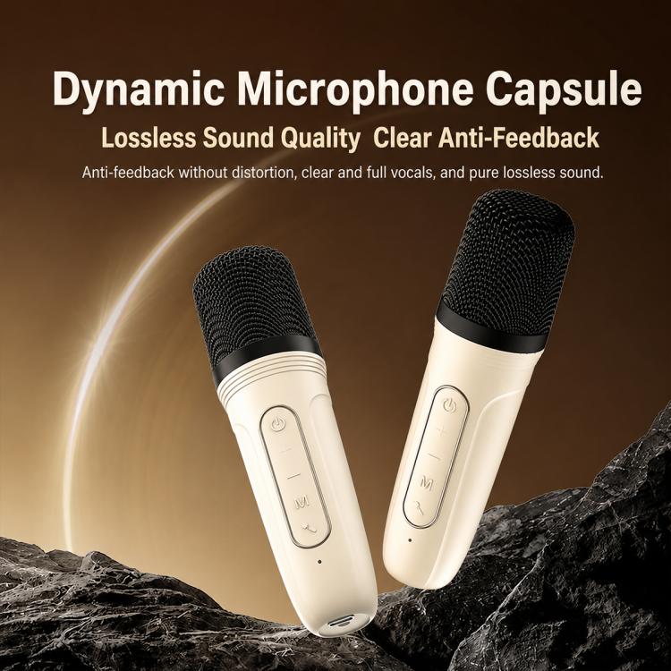 ZGA PZ010 Tragbarer Bluetooth-Lautsprecher mit zwei Mikrofonen für Karaoke