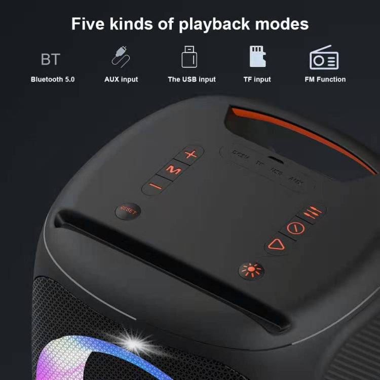 HOPESTAR Party100 Bluetooth 5.0 Tragbarer wasserdichter kabelloser Bluetooth-Lautsprecher mit mobiler Ladefunktion, Party100(Black), Party100(Green), Party100(Blue)