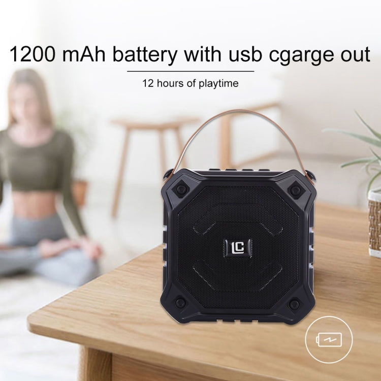 LN-29 DC 5V tragbarer kabelloser Lautsprecher mit Freisprechfunktion, unterstützt USB und TF-Karte, LN-29