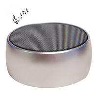 BS01 Tragbarer Bluetooth-Lautsprecher, unterstützt Freisprechanrufe, TF-Karte und AUX-IN