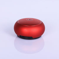 EWA A110 IPX5 Wasserdichter tragbarer Mini-Bluetooth-Lautsprecher aus Metall, unterstützt 3,5-mm-Audio und 32 GB TF-Karte und Anrufe