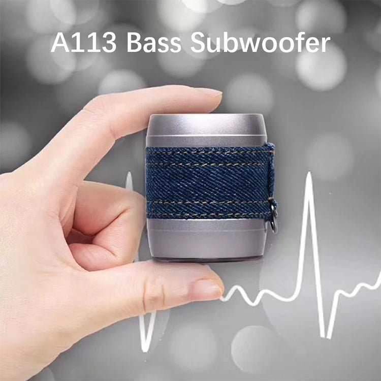 EWA A113 Tragbarer Super-Mini-Bluetooth-Lautsprecher, kabelloser Bass-Subwoofer, Boom-Box-Lautsprecher