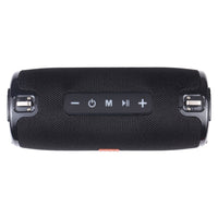 T&G TG125 Tragbarer Säulenlautsprecher, 20 W, Bluetooth-Lautsprecher, Musik-Player, Lautsprecherbox mit FM-Radio, Aux-TF-Subwoofer, Basslautsprecher
