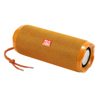 T&G TG191 20 W wasserdichter Bluetooth-Lautsprecher, Stereo-Doppelmembran-Subwoofer, tragbares Audio-FM-Radio