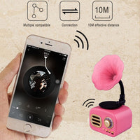 Ft-05 Kabelloser Retro-Bluetooth-Lautsprecher, Grammophon-Mini-Player