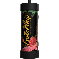 ExoticWhip Original 2KG Zylinder (Erdbeere)